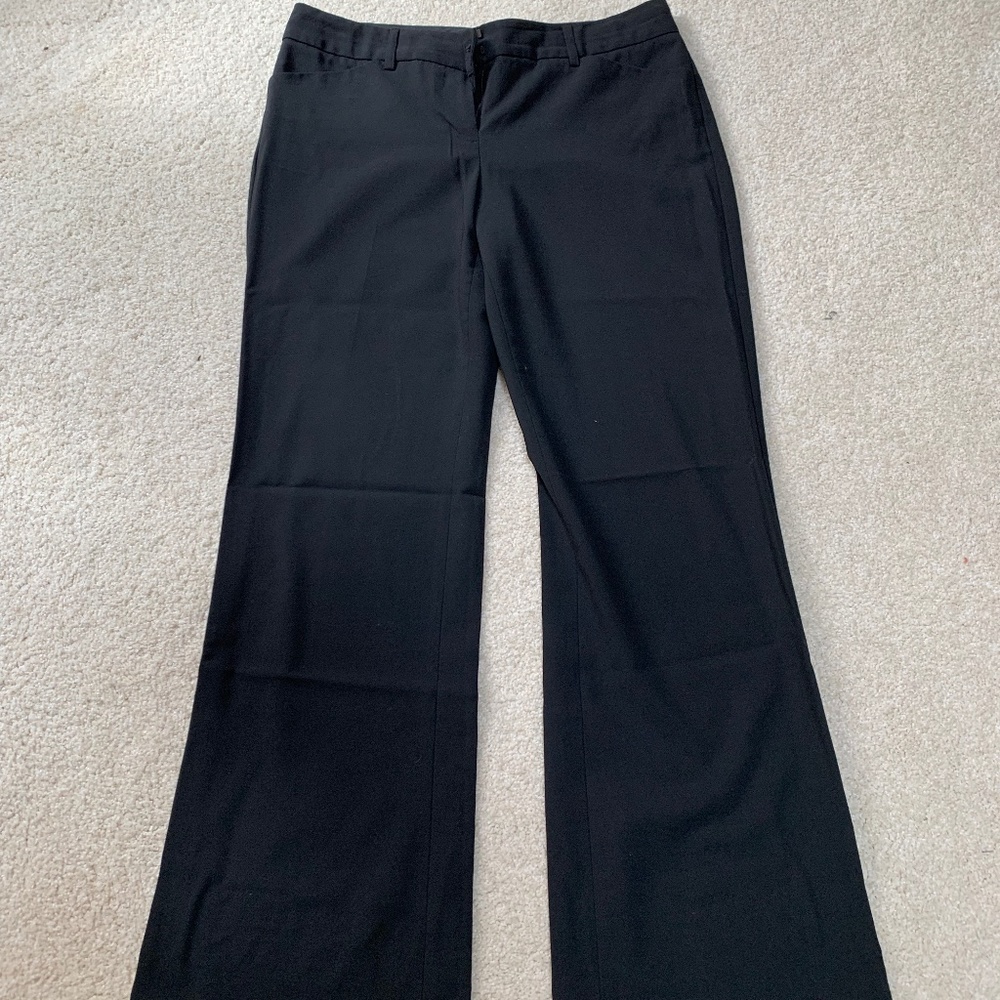 Express Design Studio Editor Pants
